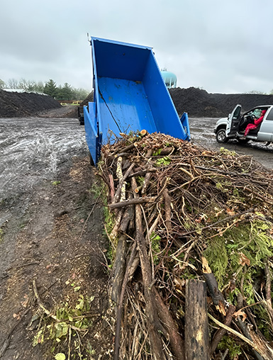 South Jersey Brush & Debris Removal