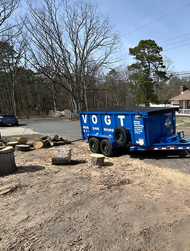 South Jersey Stump Grinding